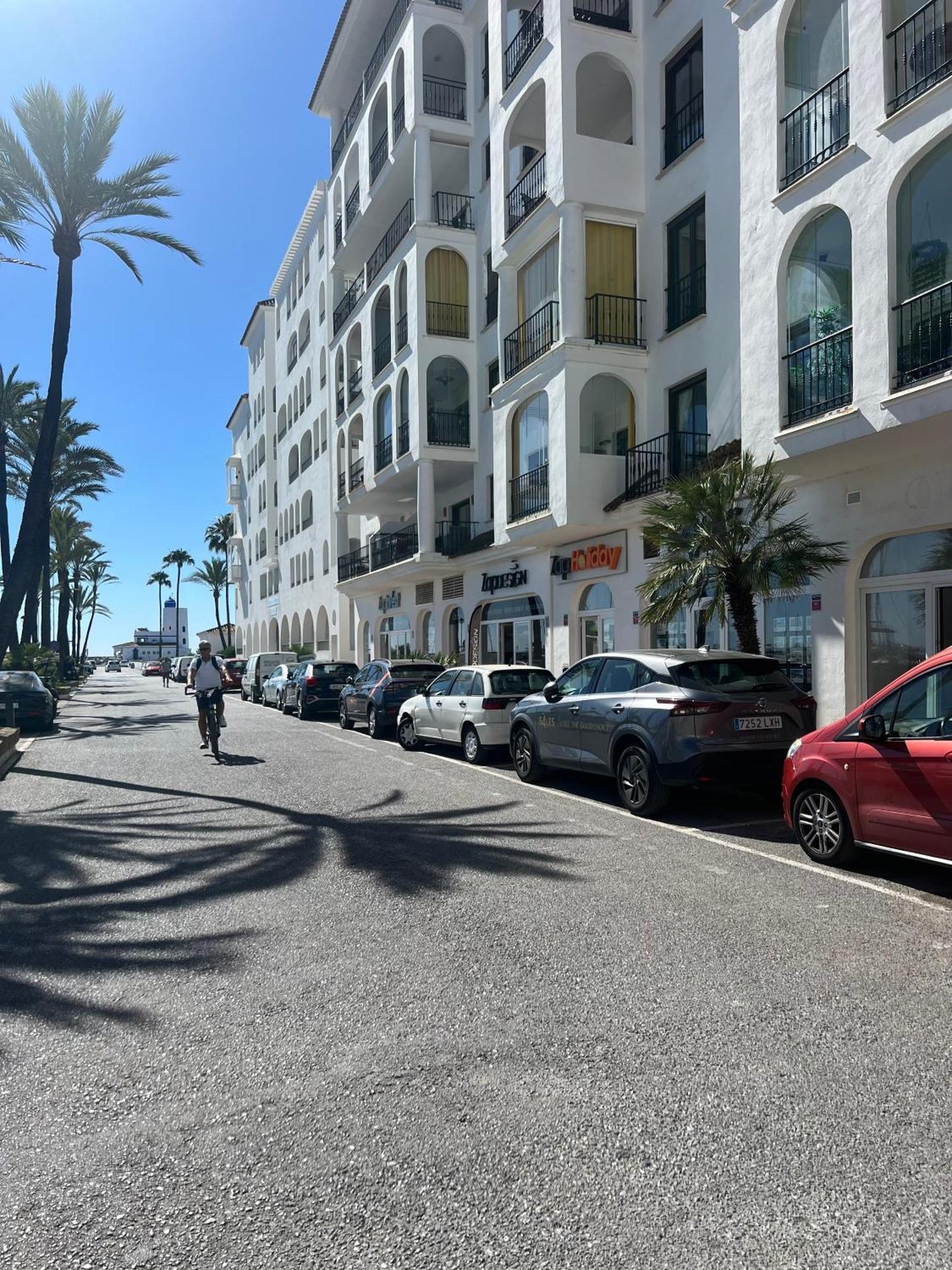 Palm In La Duquesa Apartment